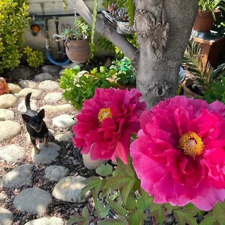 Dom wakacyjny Relax Cepagatti