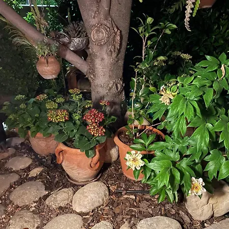 Holiday home Relax Cepagatti