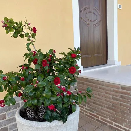 Relax Holiday home Cepagatti