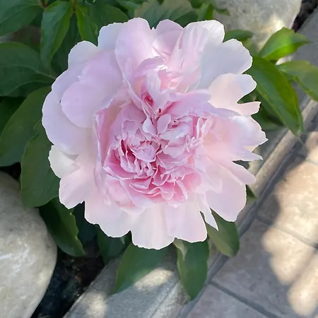 Relax 別荘 Cepagatti