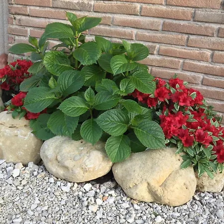 Holiday home Relax Cepagatti