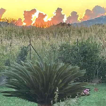 Relax Holiday home Cepagatti