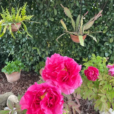 Relax Dom wakacyjny Cepagatti