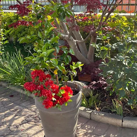 Dom wakacyjny Relax Cepagatti