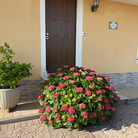 Relax Holiday home Cepagatti