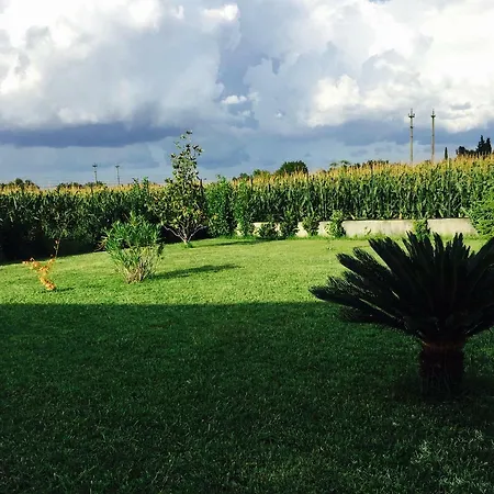 Relax * Cepagatti