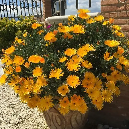 Relax 別荘 Cepagatti