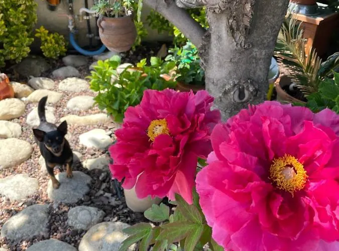 Holiday home Relax Cepagatti