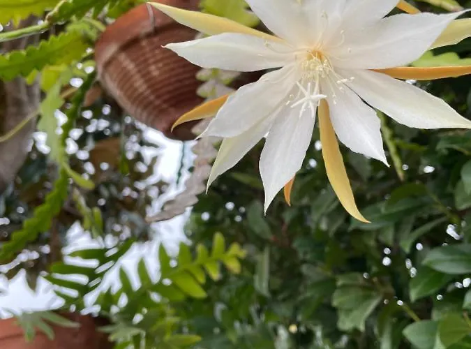 Holiday home Relax Cepagatti