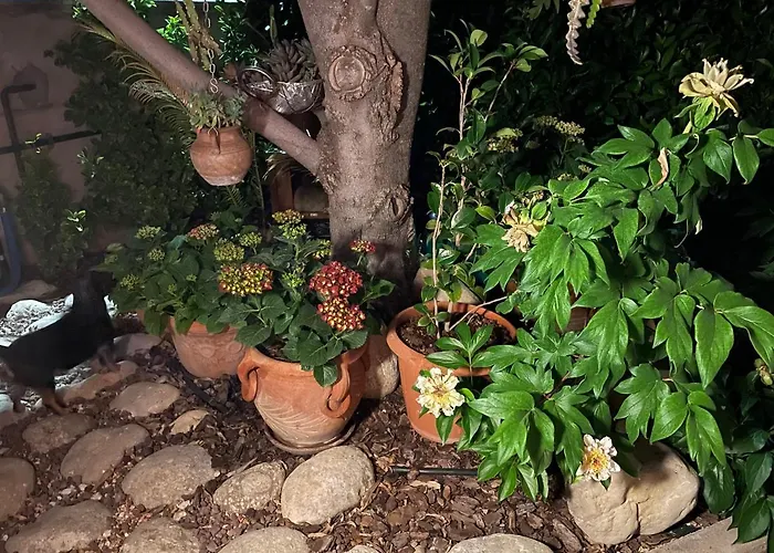 Holiday home Relax Cepagatti