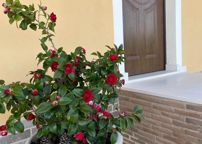 Relax Holiday home Cepagatti