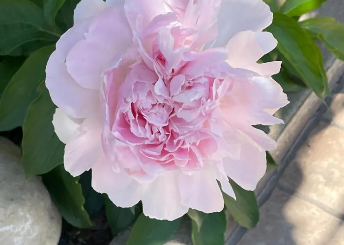 Relax Holiday home Cepagatti