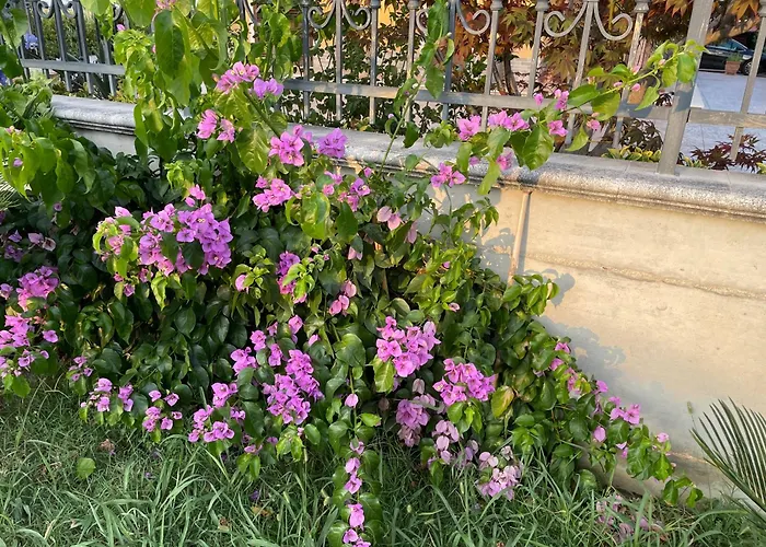 Relax Holiday home *