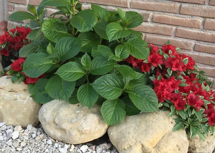 Holiday home Relax Cepagatti