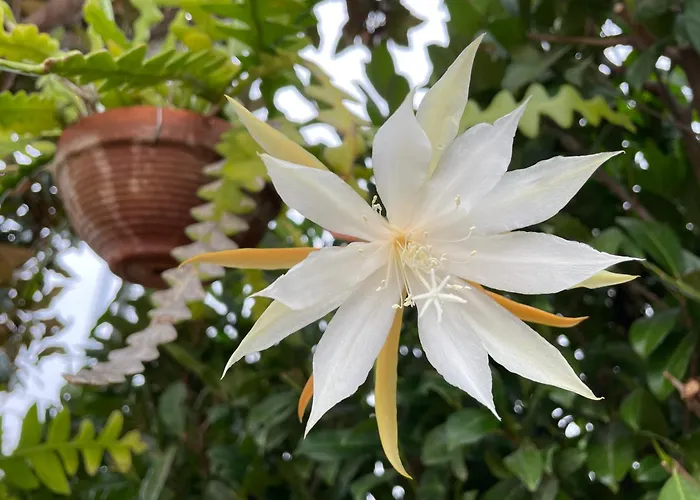 Relax Casa de Férias *