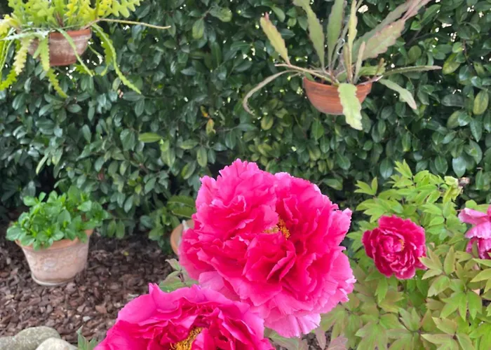 Relax Holiday home Cepagatti