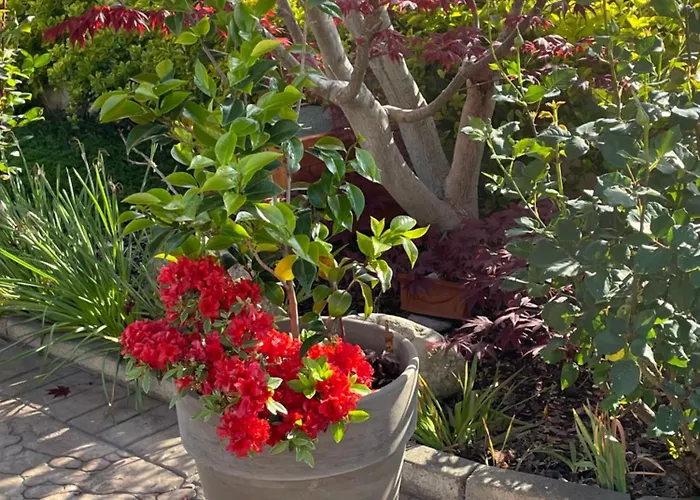 Holiday home Relax Cepagatti