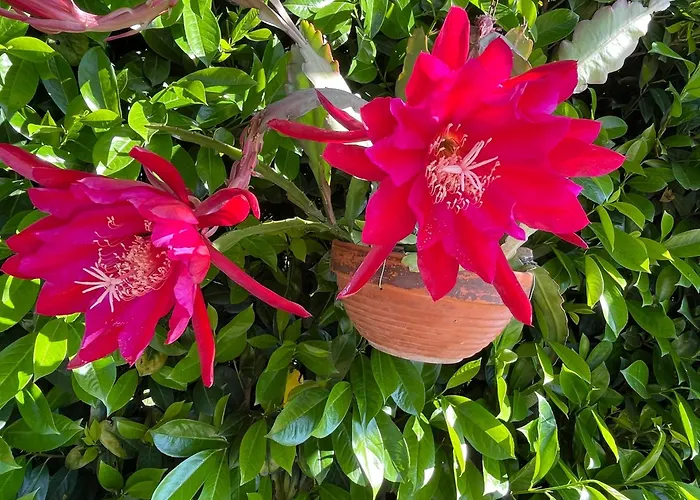 Relax Holiday home *