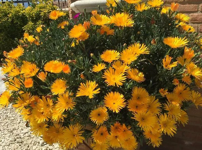 Relax Holiday home Cepagatti