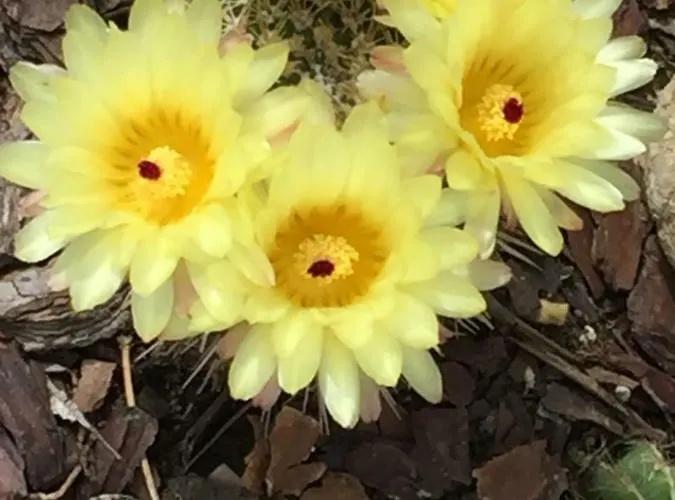 Relax Holiday home *