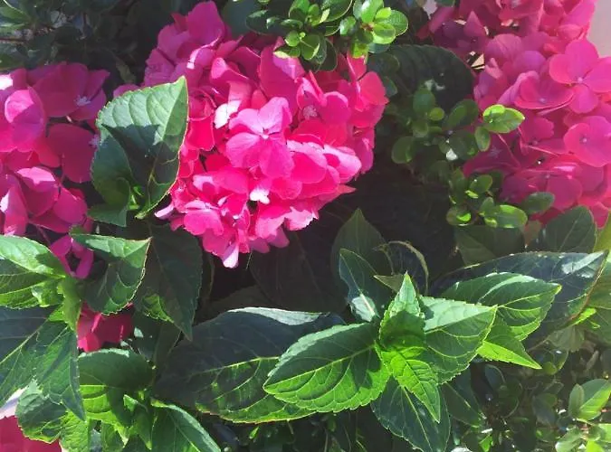 Relax Holiday home *